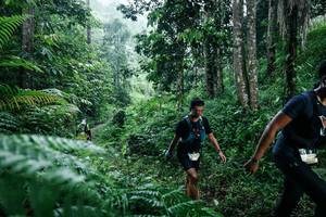 BIB: 
                            <button type="button" onclick="openModal(26359296)" class="btn btn-primary btn-sm float-right btn-popup" data-toggle="modal" data-target=".modal-high-quality">
                        <i class="fas fa-shopping-cart"></i> Add to Cart
                    </button>
                                            <button type="button" onclick="isThisMe(26359296, true)" class="btn btn-success btn-sm float-right btn-popup btn-isme hidden" data-toggle="tooltip" data-placement="bottom" title="นี่คือรูปของคุณใช่ไหม คลิกที่นี่เพื่อเอาเข้าอัลบั้ม">
                        <i class="fas fa-plus"></i> Add to album
                    </button>
                    <button type="button" onclick="isThisMe(26359296, false)" class="btn btn-warning btn-sm float-right btn-popup btn-isnotme hidden">
                        <i class="fas fa-ban"></i> Remove from album
                    </button>